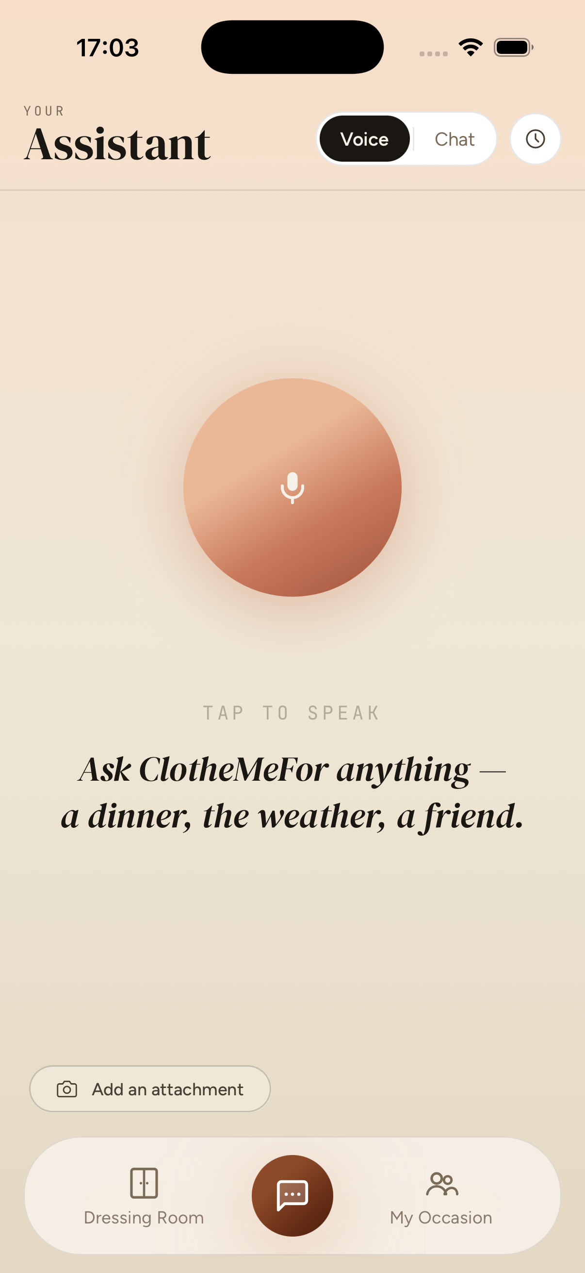 Voice assistant